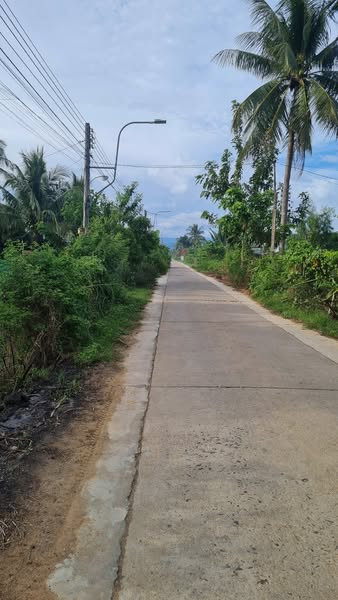 493261360 24027184943643098 6280486819960461103 n.jpg