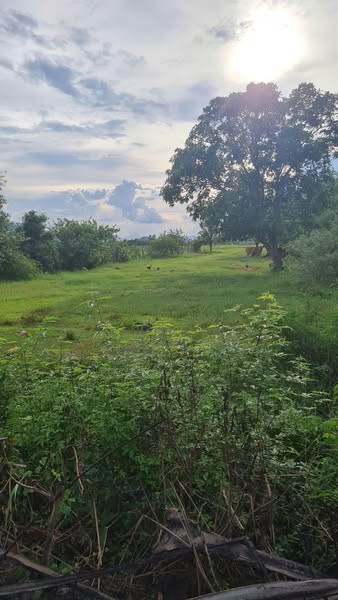 492495029 24027184860309773 3092874914250145150 n.jpg