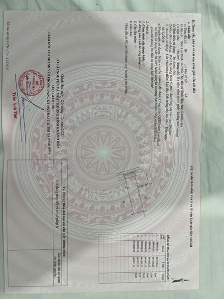 492958183 24027185020309757 1318943224123056983 n.jpg