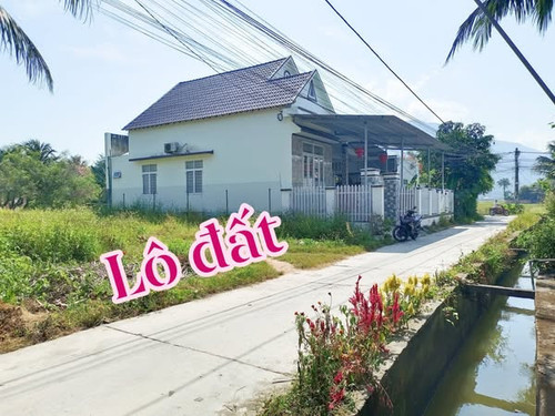 493318577 678476204806707 2378520716211434716 n