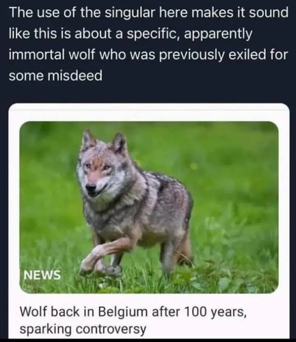 img 3 1745420364819.jpg