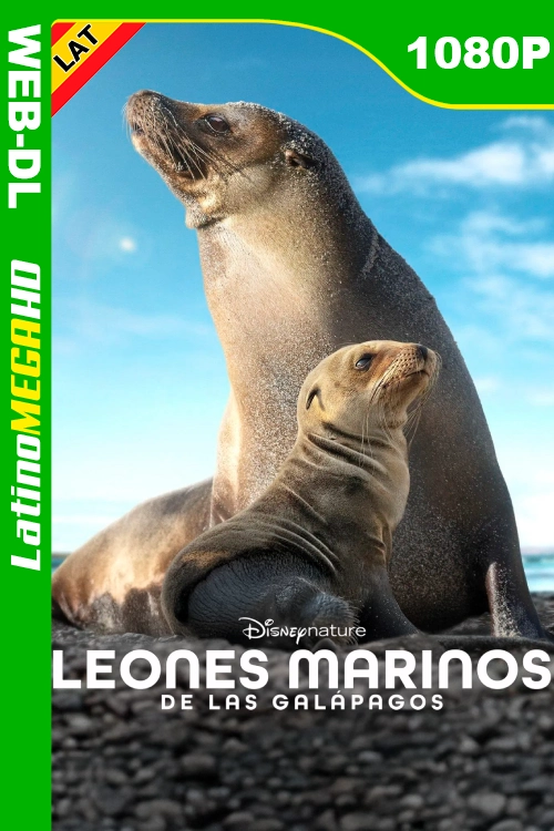 Leones Marinos de las Galápagos (2025) Latino HD DSNP WEB-DL 1080P