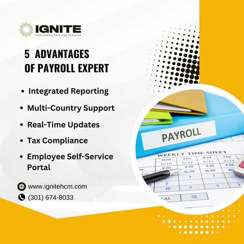 5 Advantages of Payroll Expert.jpg