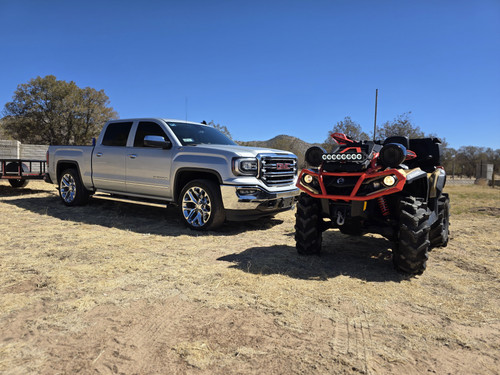 WhatsApp Image 2025 02 28 at 16.17.48.jpg