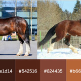 Vladimir Heavy Draft