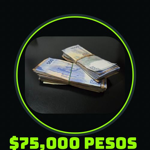 WhatsApp Image 2025 04 24 at 08.35.33.jpg