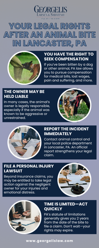 Understanding Your Legal Protections After an Animal Bite in Lancaster, PA.png