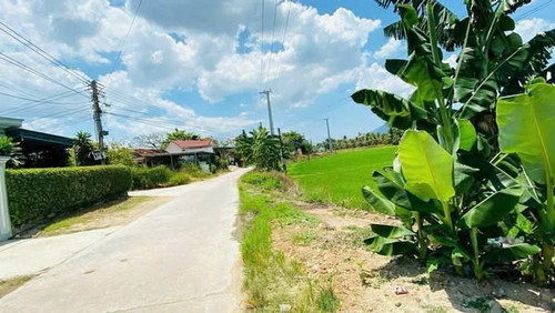 492404707 1234880605092327 620614394370000957 n.jpg