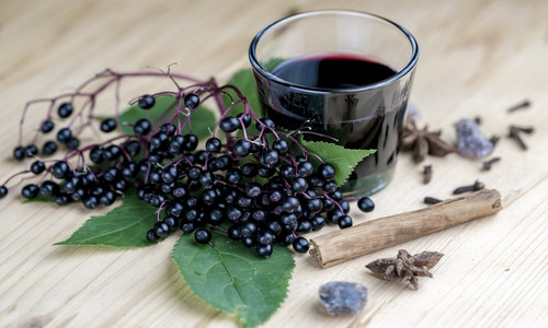 elderberry2501.jpg