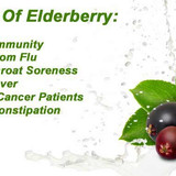elderberry2503