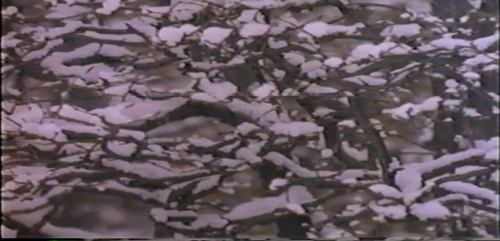 vlcsnap 2025 04 23 21h08m37s161.png
