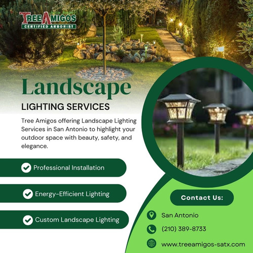 Landscape Lighting Services in San Antonio.jpg