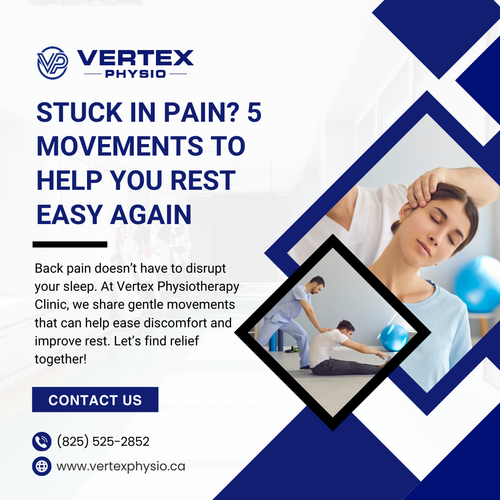 Back pain Physiotherapy   - Vertex Physiotherapy clinic.png