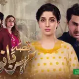 t306 qissa meherbano ka card