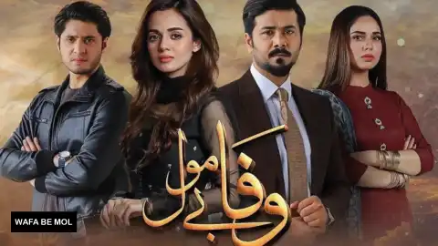 t302 wafa be mol card.webp