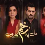 t280 dil pe zakham khaye hain card