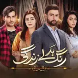 t278 rang badlay zindagi card