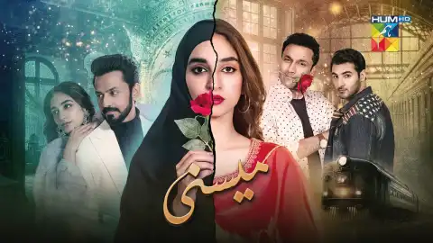 t282 meesni card.webp