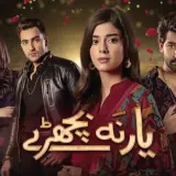 t295 yaar na bichray