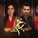 t280 dil pe zakham khaye hain