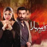 t285 tinkay ka sahara card.webp