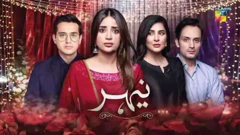 t291 nehar card.webp