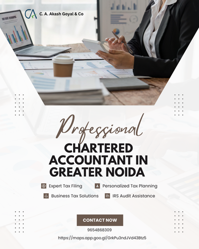 Chartered Accountant in Greater Noida.png