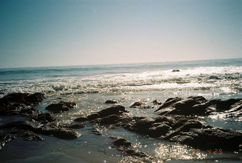 IMG 7237.jpg
