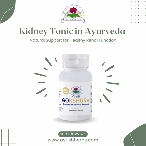 Get Herbal Kidney Tonic in Ayurveda for Renal Wellness.png