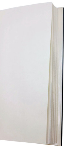 In the Country of Last Things Paul Auster 1987 Book (10).jpg