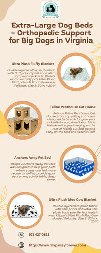 Extra Large Dog Beds – Orthopedic Support for Big Dogs in Virginia.jpg