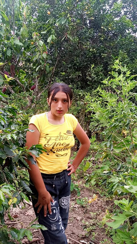 490432076 645977084864978 2464312245762280132 n.jpg