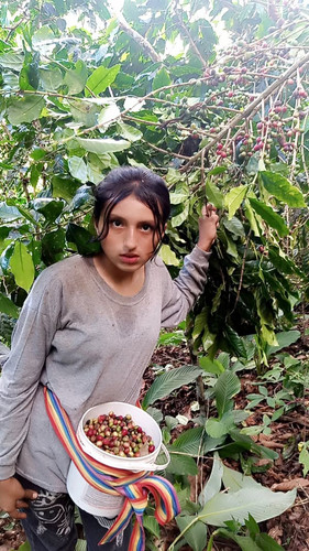 493901419 122130876836765448 7356481041430711457 n.jpg