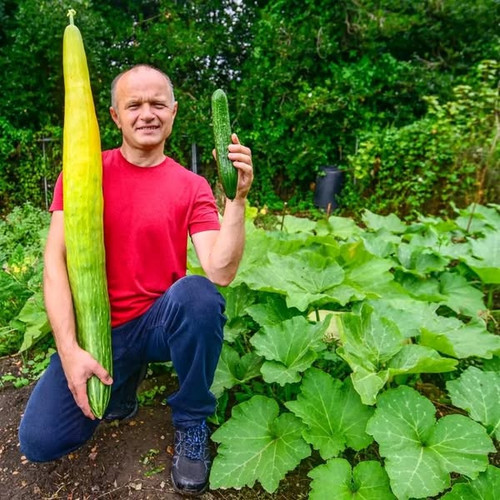 492259423 653360423996079 8844210892712426793 n.jpg