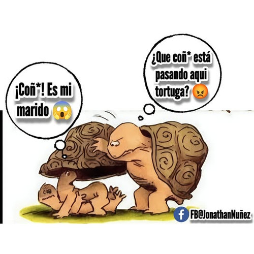 495270060 1138023621460732 8928023643280197020 n.jpg