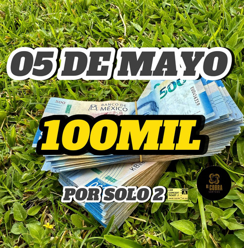 WhatsApp Image 2025 04 22 at 11.01.16 (1).jpg