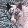 Pink filter icon.png