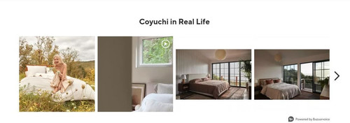 coyuchi 4.jpg
