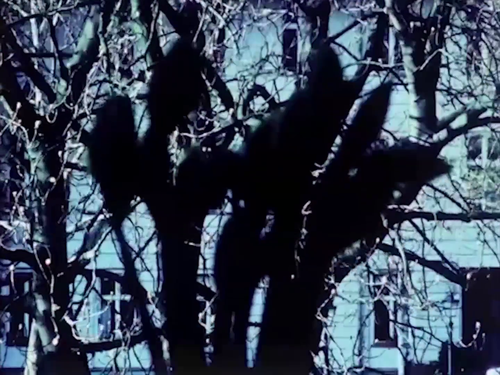 vlcsnap 2025 05 05 12h50m44s578.png