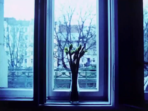vlcsnap 2025 05 05 12h49m35s598.png