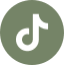 tiktok.png