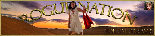 Marion Banner.jpg