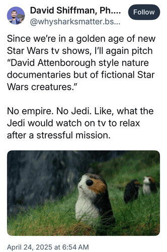 495110736 984884013813319 1224696716525196127 n.jpg