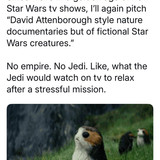 495110736 984884013813319 1224696716525196127 n