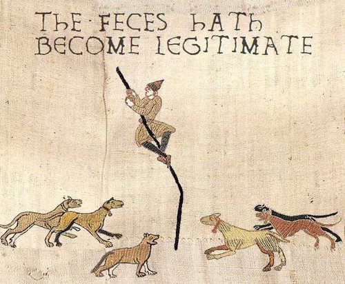 494741710 1224245872607621 6250319755791557561 n