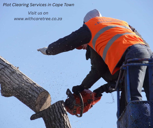 Plot Clearing Services in Cape Town.jpg