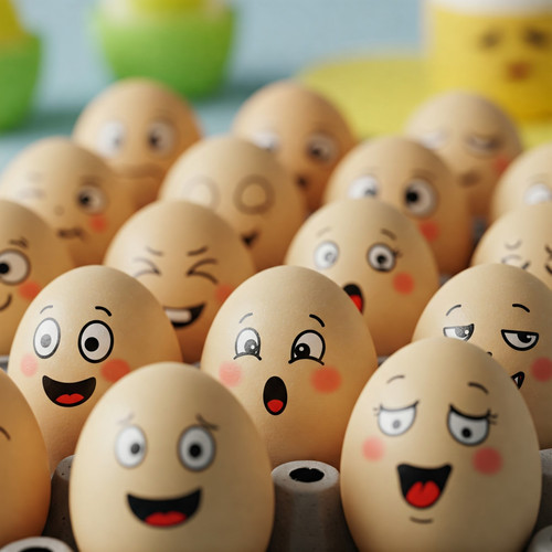 EggLife Website Photos (20).jpg