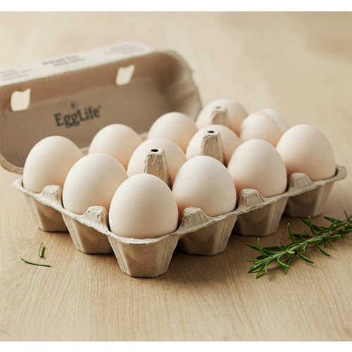 EggLife Webiste phtotos (17).jpg