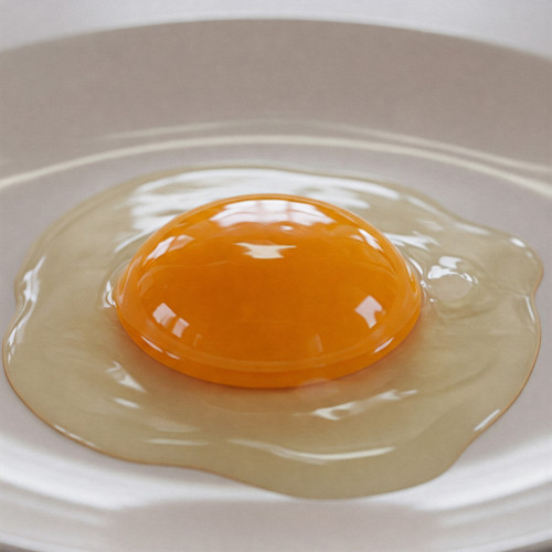 EggLife Webiste phtotos (11).jpg