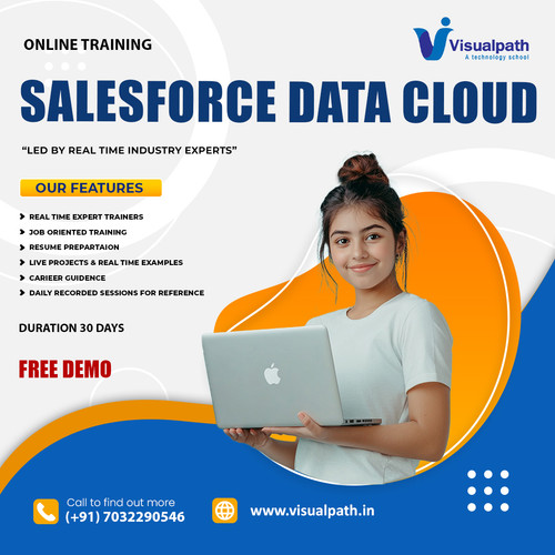Best Salesforce Data Cloud Certification | Visualpath.jpg